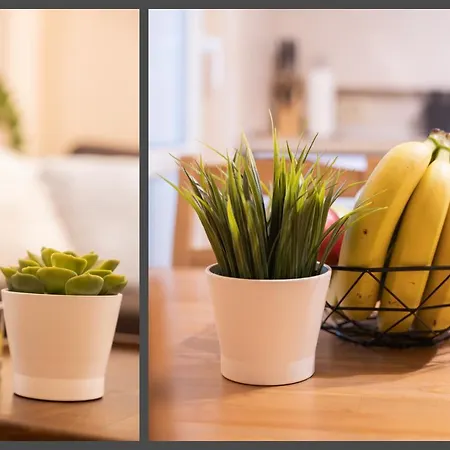 The Red Point * Várna